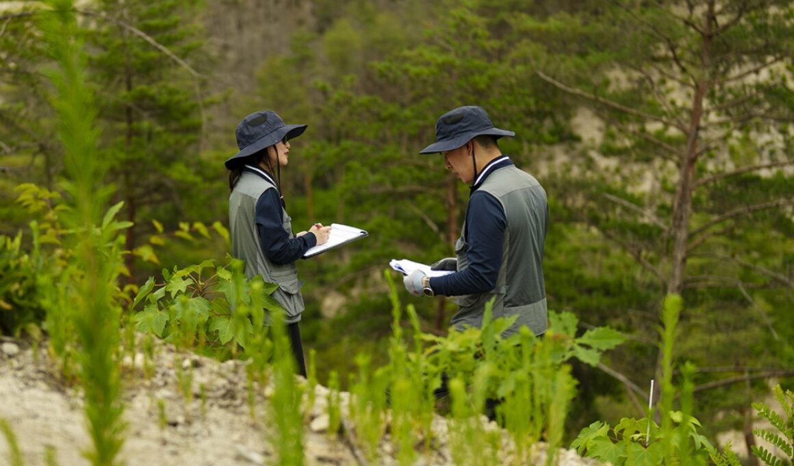 South Korea Is Treating Forest Recovery as Climate Infrastructure