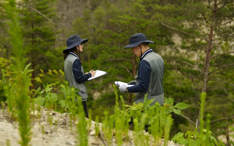 South Korea Is Treating Forest Recovery as Climate Infrastructure