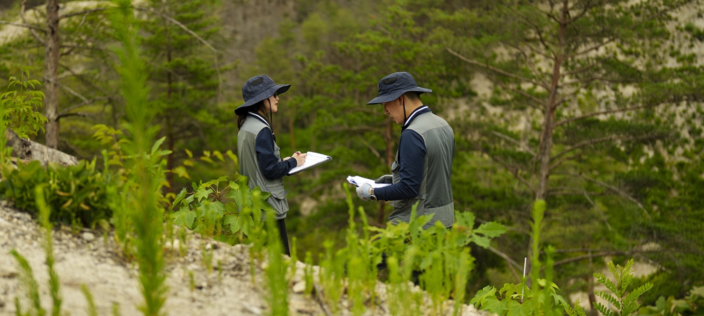 South Korea Is Treating Forest Recovery as Climate Infrastructure