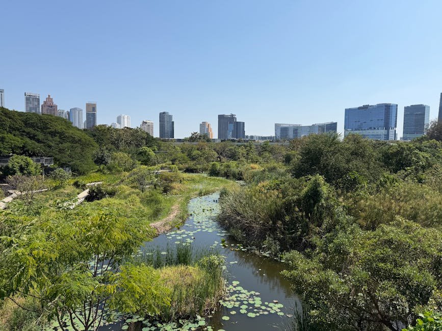 Las ciudades adoptan soluciones basadas en la naturaleza para combatir el cambio climático