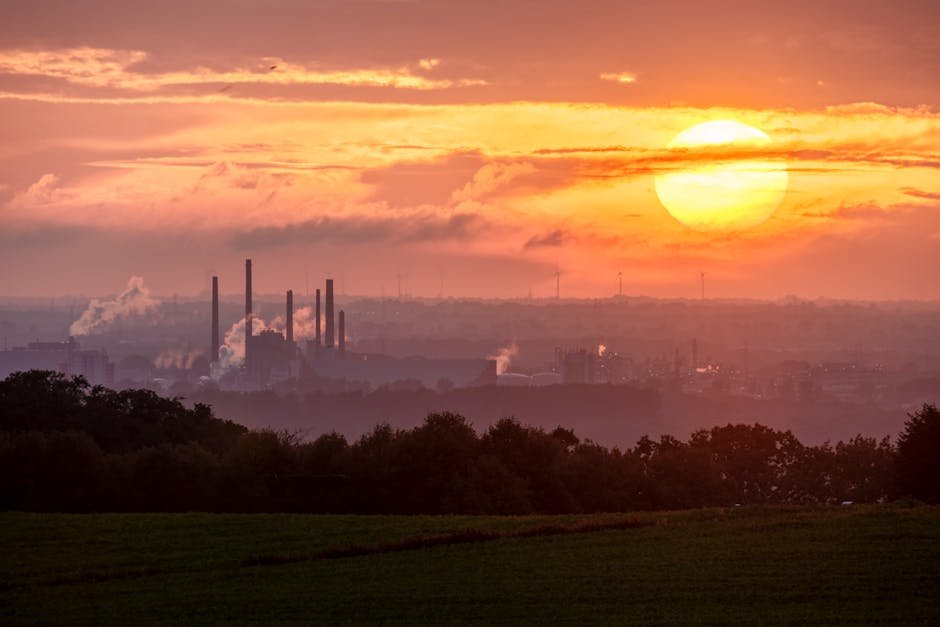 Zones sans fossiles : Un chemin stratégique pour aligner la conservation des forêts avec les transitions vers une énergie propre