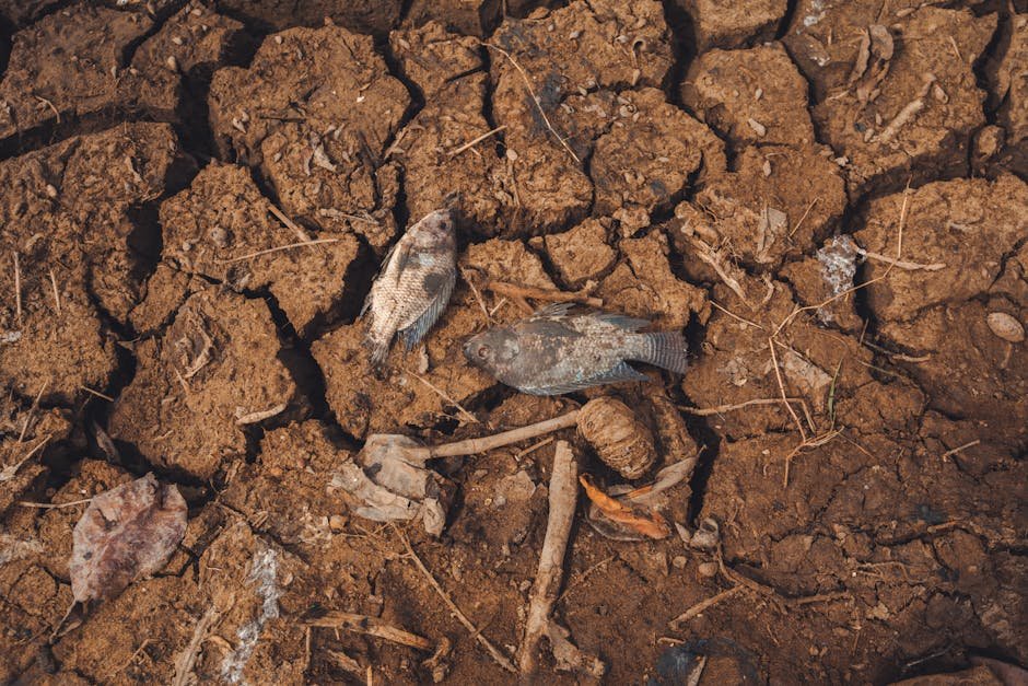 La hambruna global disminuye, pero los desafíos de la seguridad alimentaria persisten en 2026