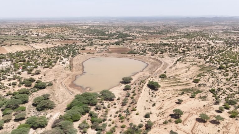 La respuesta al hambre en Somalia demuestra que la acción temprana es la verdadera prueba de los ODS