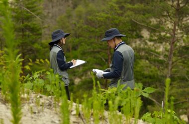 Corea del Sur trata la recuperación forestal como infraestructura climática