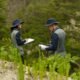 Corea del Sur trata la recuperación forestal como infraestructura climática