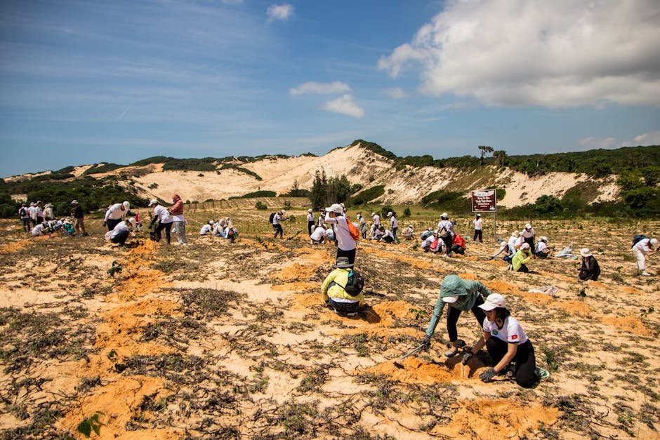 Le corridor de reforestation de Madagascar ravive l'habitat des lémuriens menacés et soutient les communautés locales