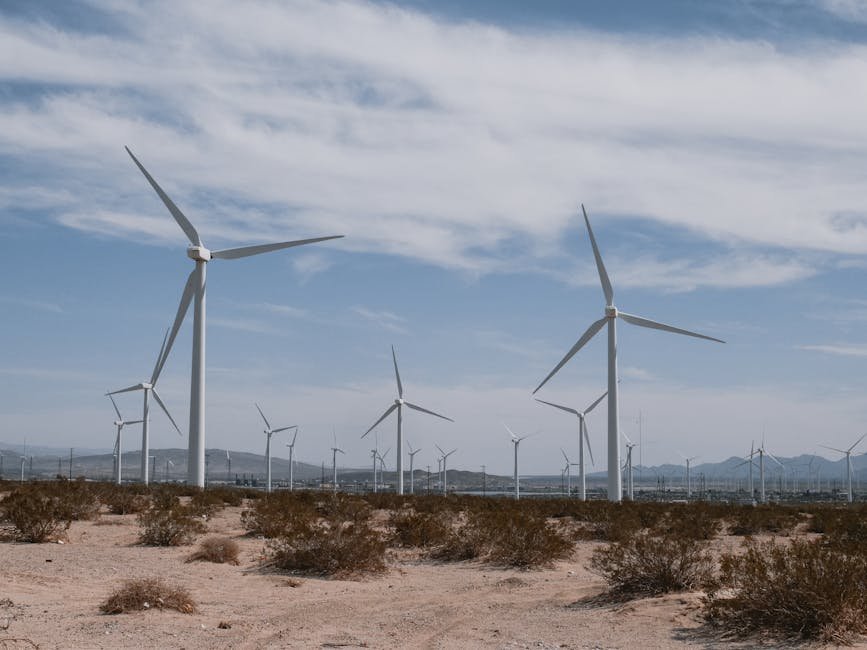 Aumento de la inversión en energía renovable, impulsando el progreso hacia el ODS 7