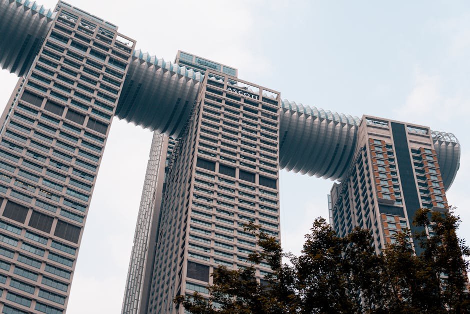 Koruma Başarısı: Singapur’un Raffles’ Bantlı Langur Popülasyonu Kentsel Zorluklar Arasında İki Katına Çıktı