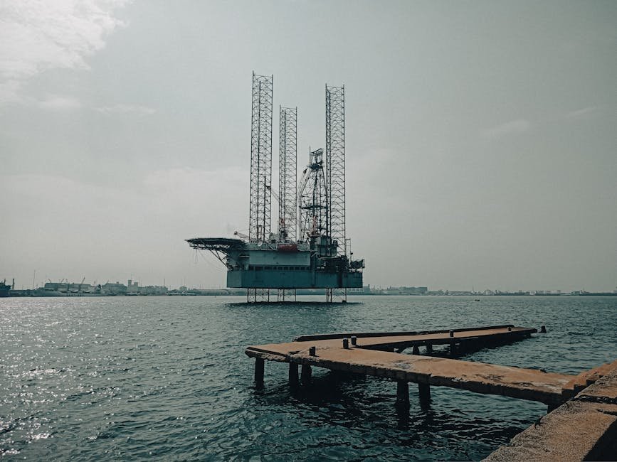 Los planes de petróleo y gas en alta mar de Kenia generan advertencias sobre la biodiversidad del océano Índico